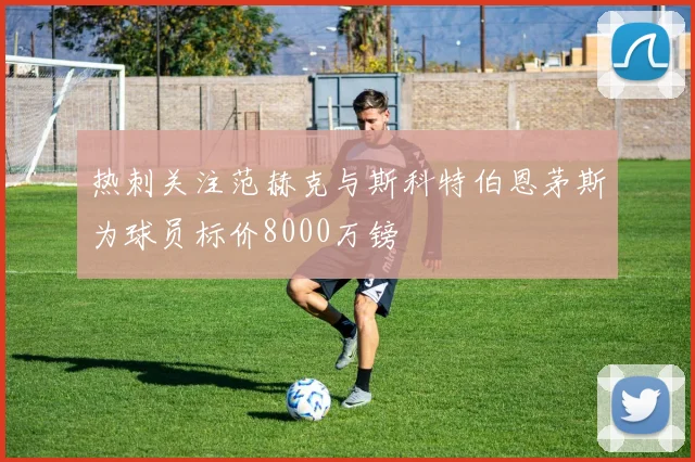 热刺关注范赫克与斯科特伯恩茅斯为球员标价8000万镑