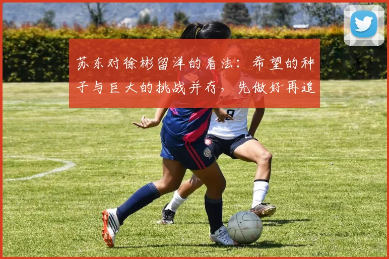 苏东对徐彬留洋的看法：希望的种子与巨大的挑战并存，先做好再追求完美